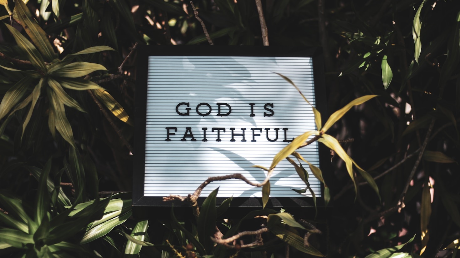 5 Ways to Support Missionary Work Today